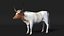 Texas Longhorn White Color Rigged model