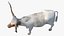 Texas Longhorn White Color Rigged model