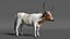 Texas Longhorn White Color Rigged model