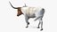 Texas Longhorn White Color Rigged model