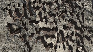 Damaged Walls Collection FREE SAMPLE