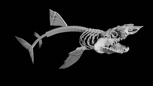 3D Sea Animal Skeletons model - TurboSquid 1966288