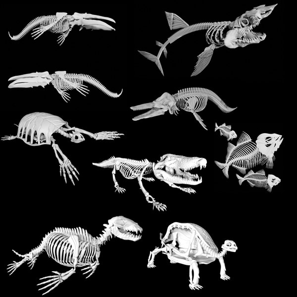 海獣の骨 2025年 ダン・フォルケスによるギガノトサウルス・カロリニイの
