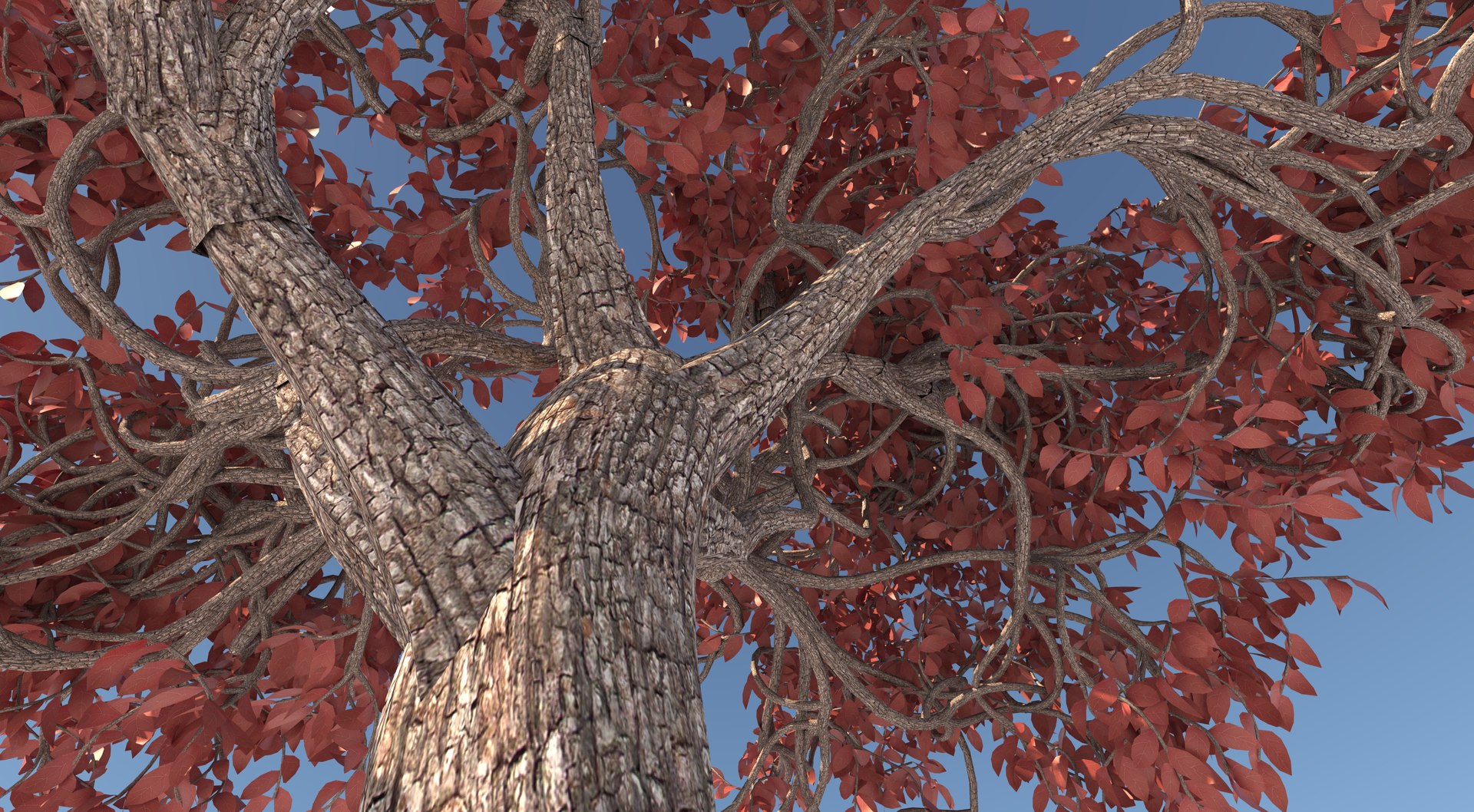 Acer Tree 3D Model - TurboSquid 1717303