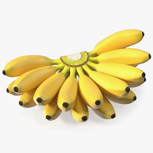 3D model Yellow Banana Bunch