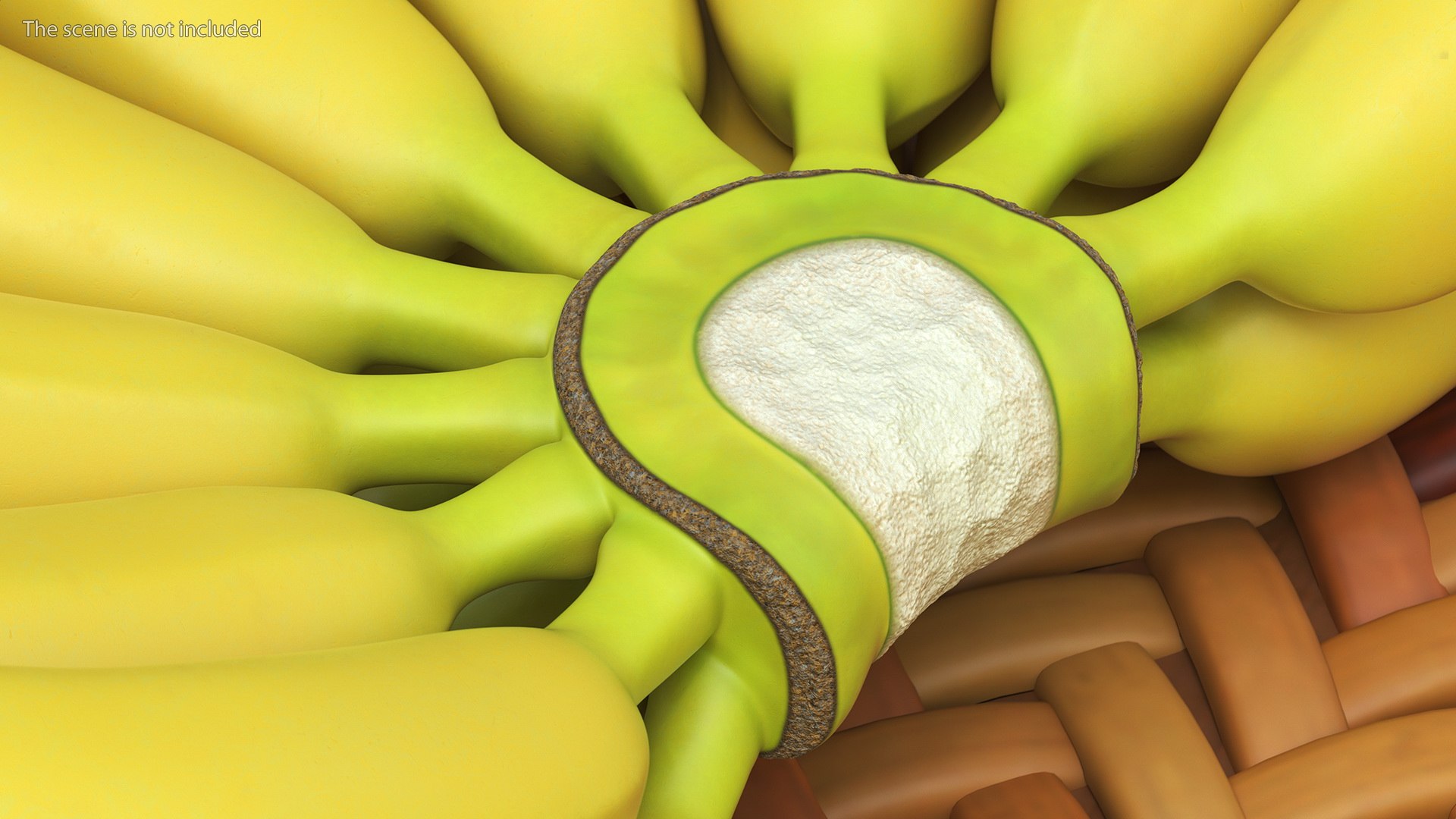 3D model Yellow Banana Bunch https://p.turbosquid.com/ts-thumb/Rb/PCuvOm/km/yellowbananabunchc4dmodel006/jpg/1635546045/1920x1080/fit_q87/a43aab0f5bb6b9b9ef6b1b9825ea4ed884f0edf7/yellowbananabunchc4dmodel006.jpg