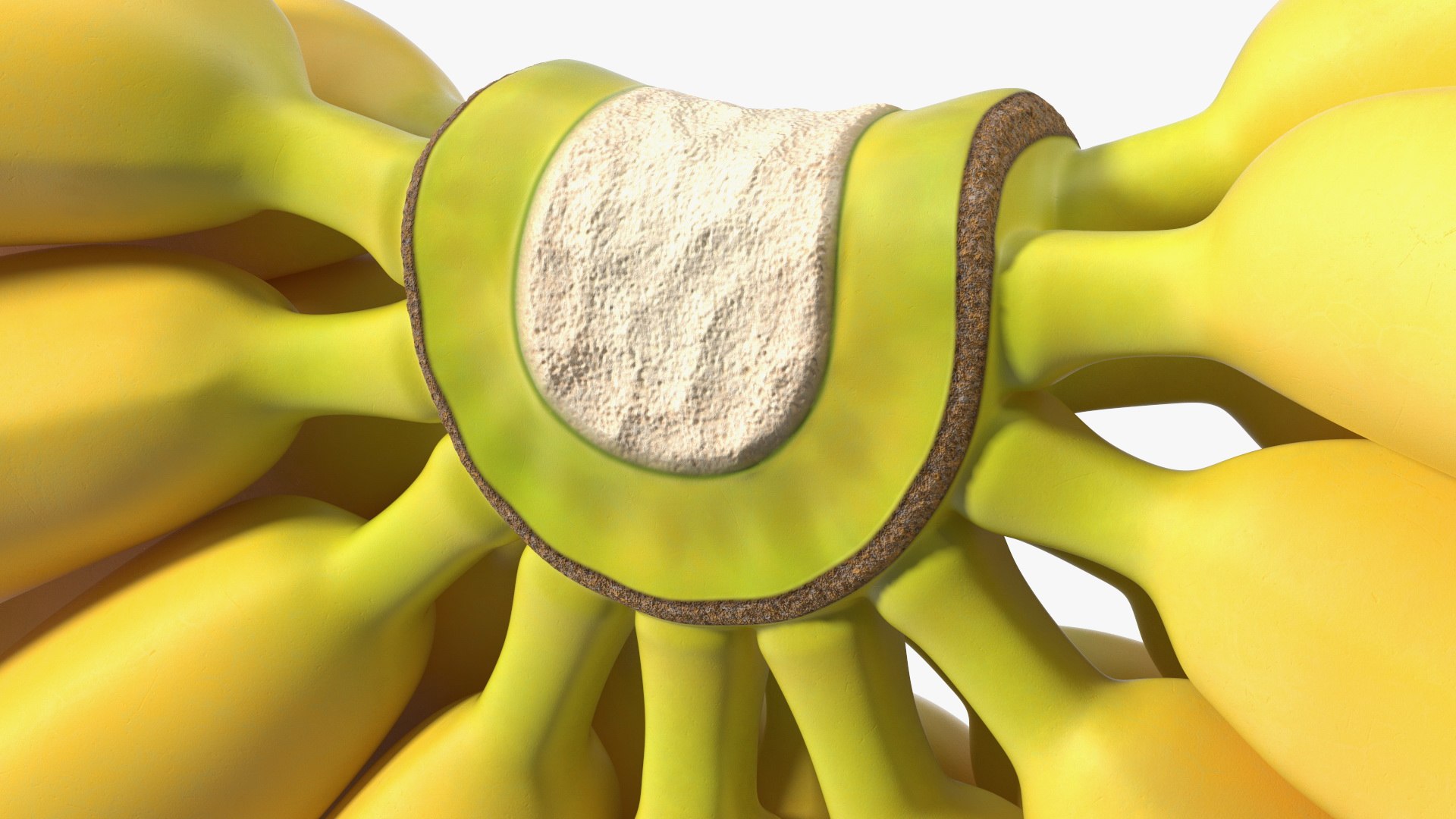3D model Yellow Banana Bunch https://p.turbosquid.com/ts-thumb/Rb/PCuvOm/pe/yellowbananabunchc4dmodel016/jpg/1635546068/1920x1080/fit_q87/dd49a43e677eaadcc9796a0c29bfe3c6220d6c94/yellowbananabunchc4dmodel016.jpg