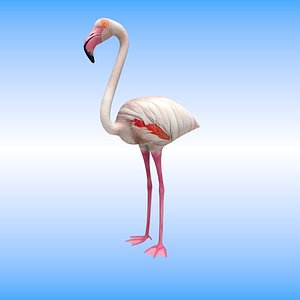 bird flamingo model
