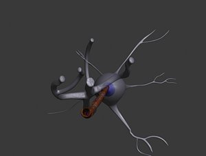 neuron cell 3d max