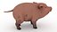 3D Cartoon pig 3D model