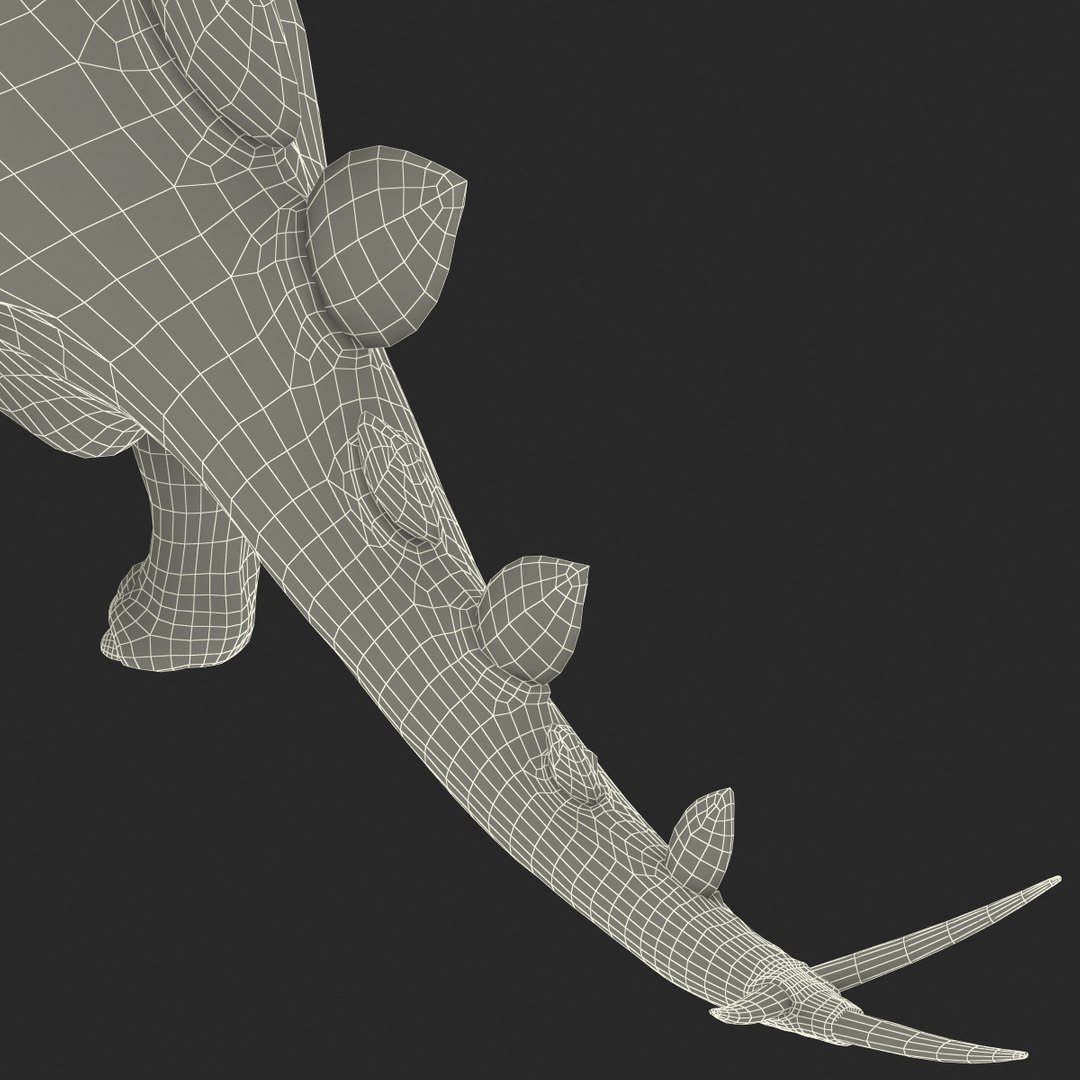 stegosaurus prehistoric modeled 3d model https://p.turbosquid.com/ts-thumb/Rb/dfMvyD/3wRtjKpV/252717_stegosaurus_g_011/jpg/1370639786/1920x1080/fit_q87/650c160573fc36ec7f944ca0cd2ed16a341ae1b3/252717_stegosaurus_g_011.jpg