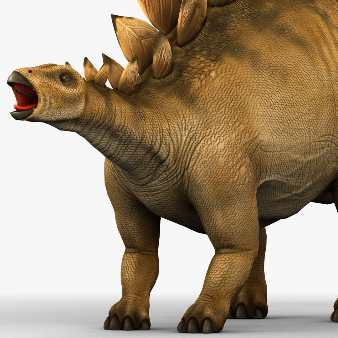 stegosaurus prehistoric modeled 3d model https://p.turbosquid.com/ts-thumb/Rb/dfMvyD/6QVYJrru/252698_stegosaurus_012/jpg/1370639726/1920x1080/fit_q87/25ad147c9fa0ad733fe760441a08d0670150e306/252698_stegosaurus_012.jpg