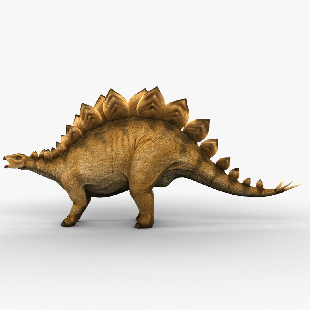 stegosaurus prehistoric modeled 3d model https://p.turbosquid.com/ts-thumb/Rb/dfMvyD/DqU8BVcD/252691_stegosaurus_005/jpg/1370639704/1920x1080/fit_q87/c45677dc276cdac14401247512905ff1ce4b1b80/252691_stegosaurus_005.jpg