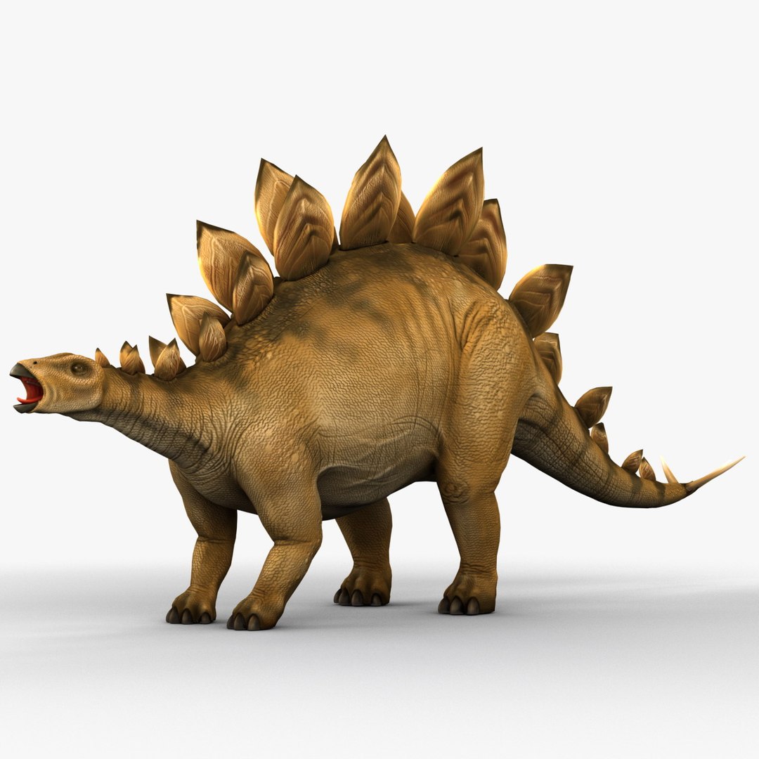 stegosaurus prehistoric modeled 3d model https://p.turbosquid.com/ts-thumb/Rb/dfMvyD/EsTTCPMY/252692_stegosaurus_006/jpg/1370639708/1920x1080/fit_q87/bf0772b9bbec92370ab8677d55ede90770e51738/252692_stegosaurus_006.jpg