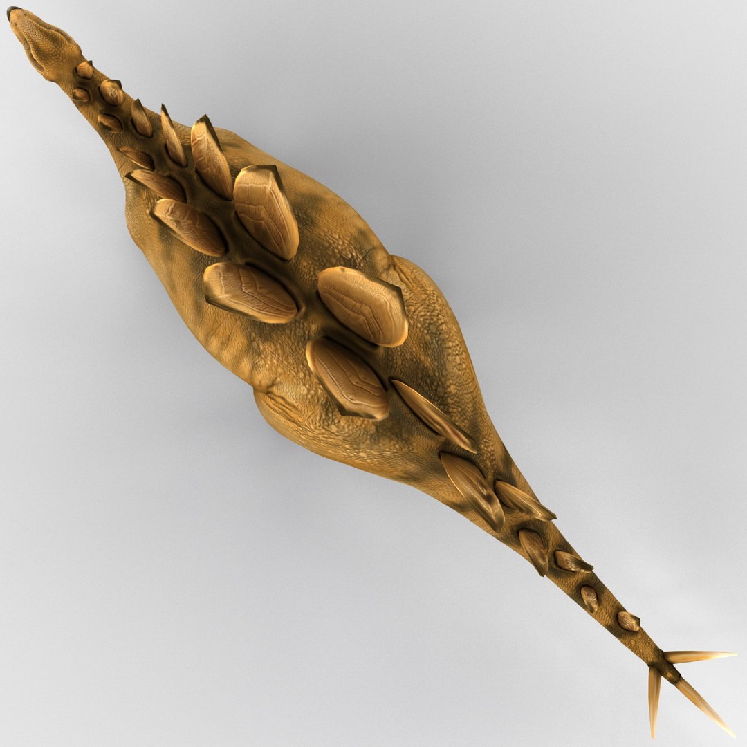 stegosaurus prehistoric modeled 3d model https://p.turbosquid.com/ts-thumb/Rb/dfMvyD/HI9YEACY/252697_stegosaurus_011/jpg/1370639723/1920x1080/fit_q87/66fcfde8949d3367ed22039fd98417ab6915014a/252697_stegosaurus_011.jpg