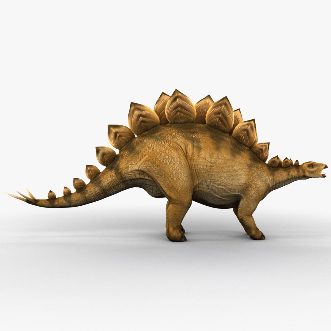 stegosaurus prehistoric modeled 3d model https://p.turbosquid.com/ts-thumb/Rb/dfMvyD/a6HRg3aN/252694_stegosaurus_008/jpg/1370639715/1920x1080/fit_q87/93be53b2089042bdef0c0974a2e005587fbd9c09/252694_stegosaurus_008.jpg