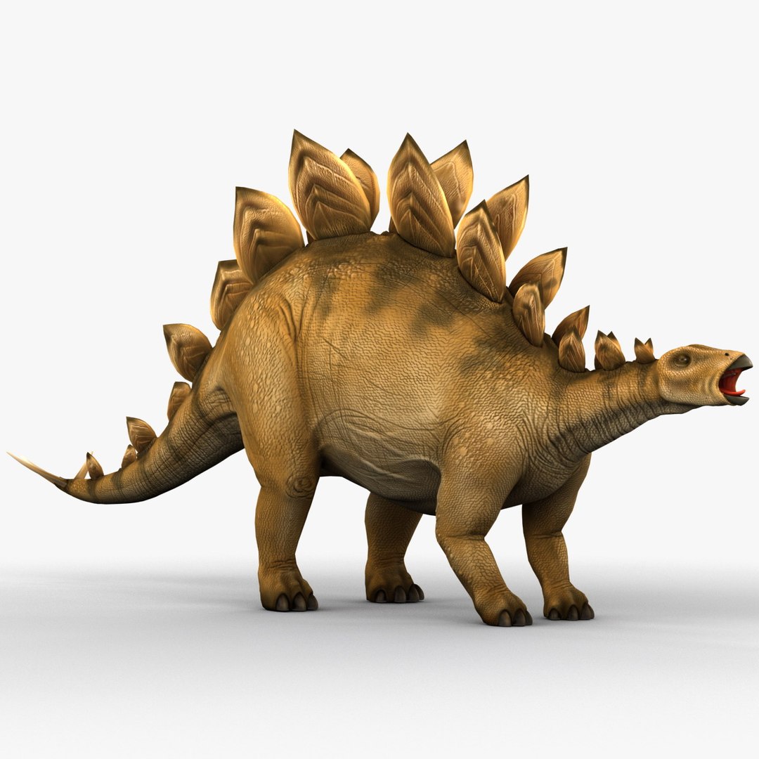 stegosaurus prehistoric modeled 3d model https://p.turbosquid.com/ts-thumb/Rb/dfMvyD/iUpIqgyF/252693_stegosaurus_007/jpg/1370639729/1920x1080/fit_q87/3a7cc8fb9ec0186624efaf796540e8dd97d6e11f/252693_stegosaurus_007.jpg