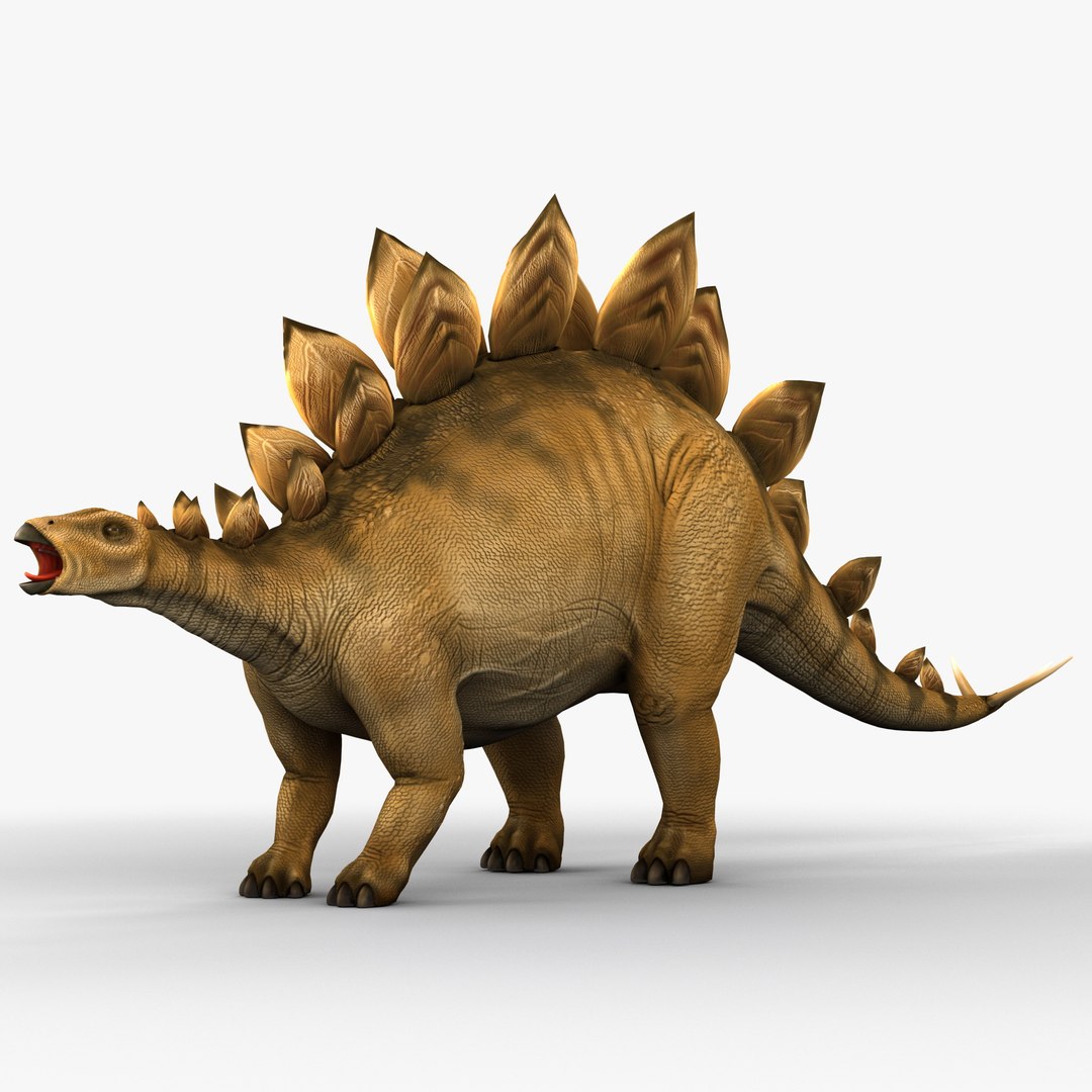 stegosaurus prehistoric modeled 3d model https://p.turbosquid.com/ts-thumb/Rb/dfMvyD/o5ugmpMp/252687_stegosaurus_001/jpg/1370639688/1920x1080/fit_q87/ba51a7d7ef04d0f7e97fb000a400c4290ea099b1/252687_stegosaurus_001.jpg