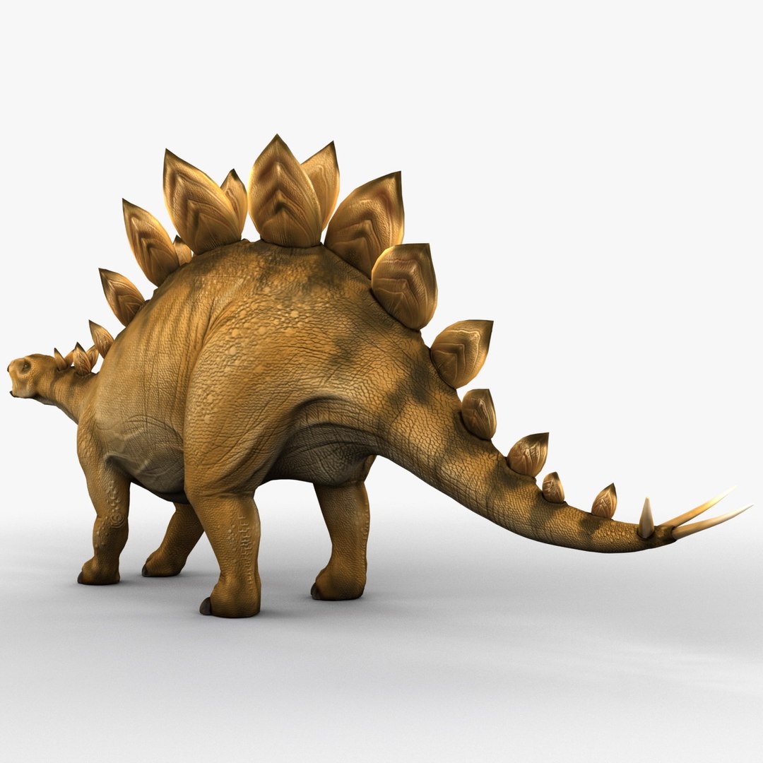 stegosaurus prehistoric modeled 3d model https://p.turbosquid.com/ts-thumb/Rb/dfMvyD/o9tM90tk/252696_stegosaurus_010/jpg/1370639721/1920x1080/fit_q87/c1e47c2d983194bfcc82a9cceadc7caaeedd3e5e/252696_stegosaurus_010.jpg