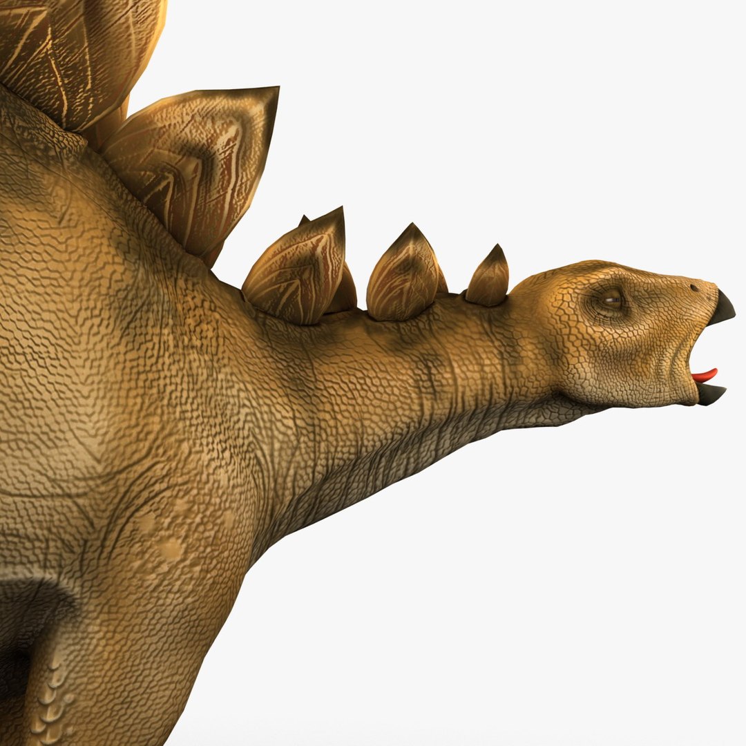 stegosaurus prehistoric modeled 3d model https://p.turbosquid.com/ts-thumb/Rb/dfMvyD/rlWI6jKC/252704_stegosaurus_018/jpg/1370639740/1920x1080/fit_q87/d851297372cca3819efcbbf064867adef9d82019/252704_stegosaurus_018.jpg