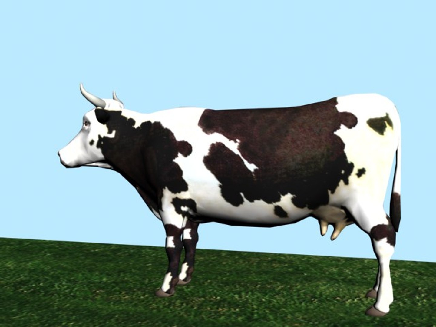 3d Model Cow