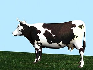 Cow