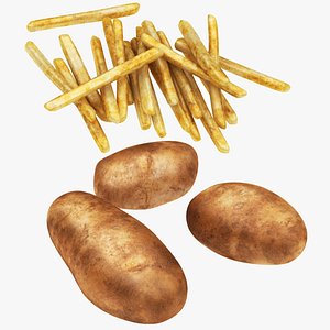 3D potato fried model