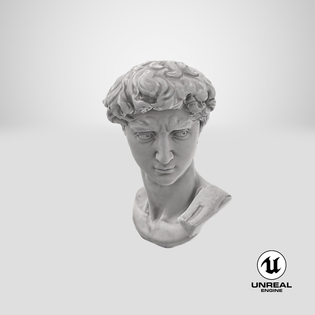 david head 3D model https://p.turbosquid.com/ts-thumb/Rb/gd1P9N/TwknzslT/stemcell_unreal_render/png/1567838142/1920x1080/fit_q87/5794d34daed2e046c0eeb462c8f24e42f9536a49/stemcell_unreal_render.jpg