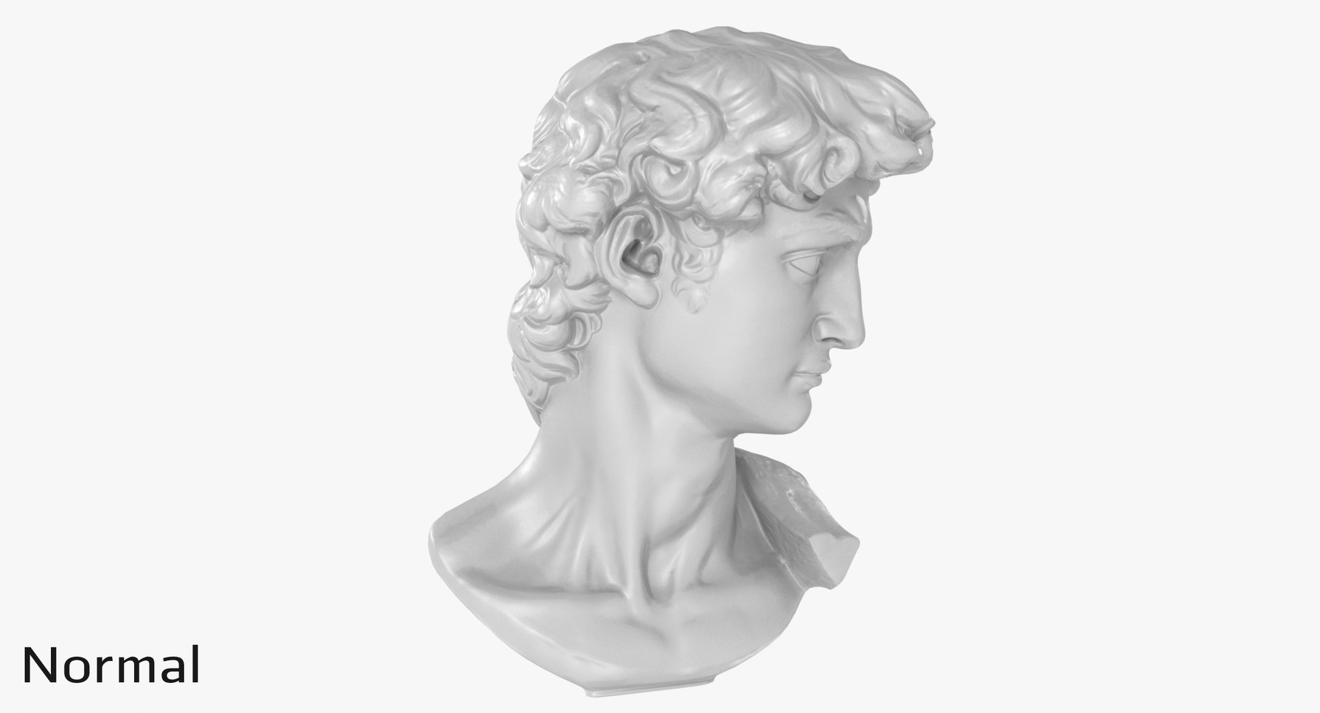 david head 3D model https://p.turbosquid.com/ts-thumb/Rb/gd1P9N/UD26Fp6u/527_displ0001/jpg/1567449966/1920x1080/fit_q87/bb8b9f39af42e4eae514e698870a42c5828554a9/527_displ0001.jpg