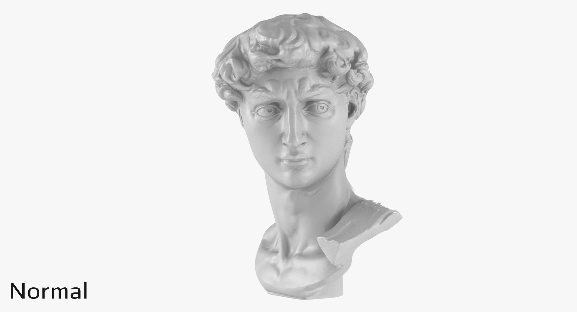 david head 3D model https://p.turbosquid.com/ts-thumb/Rb/gd1P9N/eZngPnPH/527_displ0002/jpg/1567449966/1920x1080/fit_q87/a8fa7177034132e9f8ba44cd35beee727305907e/527_displ0002.jpg