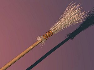 Old Straw Broom