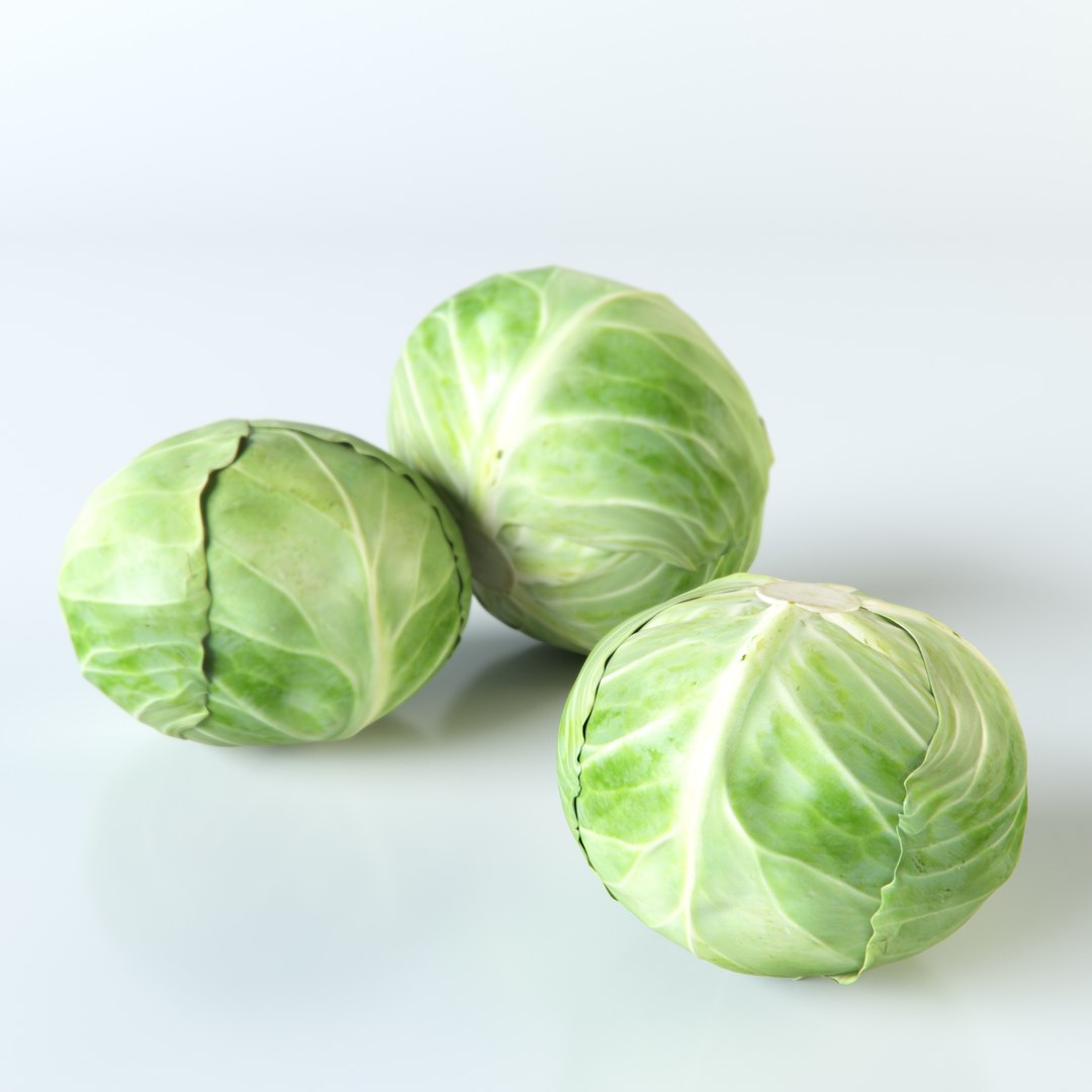 3d realistic vegetables https://p.turbosquid.com/ts-thumb/Rb/lzPYRM/0MbjsreV/cabbage_2/jpg/1417558194/1920x1080/fit_q87/1bbdcfbc0c3c8ab61968de571f99546c61fae342/cabbage_2.jpg