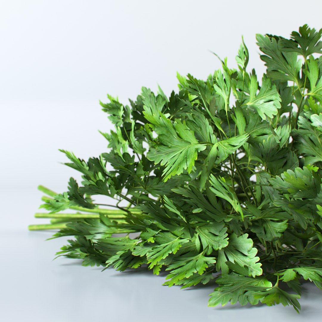 3d realistic vegetables https://p.turbosquid.com/ts-thumb/Rb/lzPYRM/1OAonbgQ/parsley_3/jpg/1417558196/1920x1080/fit_q87/c8083fd2d38777878b6614772378deb7d2975eb2/parsley_3.jpg