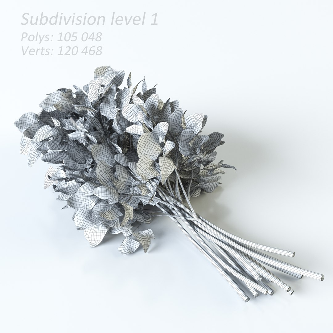 3d realistic vegetables https://p.turbosquid.com/ts-thumb/Rb/lzPYRM/Cd5CBqdf/parsley_2_2/jpg/1417558196/1920x1080/fit_q87/52ba538931ecb6b1aa17f62edb082984d813b630/parsley_2_2.jpg