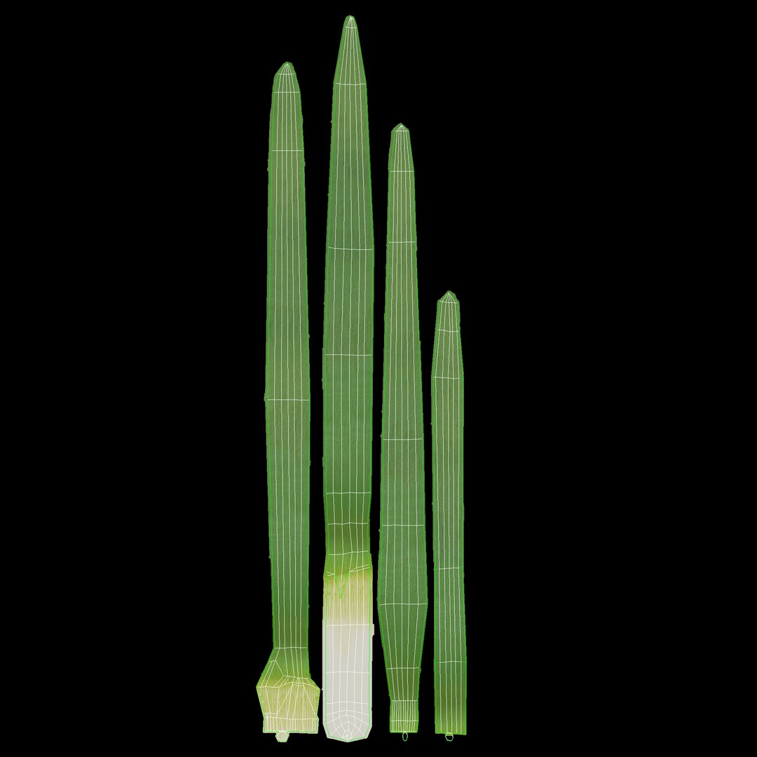 3d realistic vegetables https://p.turbosquid.com/ts-thumb/Rb/lzPYRM/Eblbbkat/onion_green_5/jpg/1417558195/1920x1080/fit_q87/23b1b3854fdf0409de3bc2298a9ac6c73c7632a5/onion_green_5.jpg