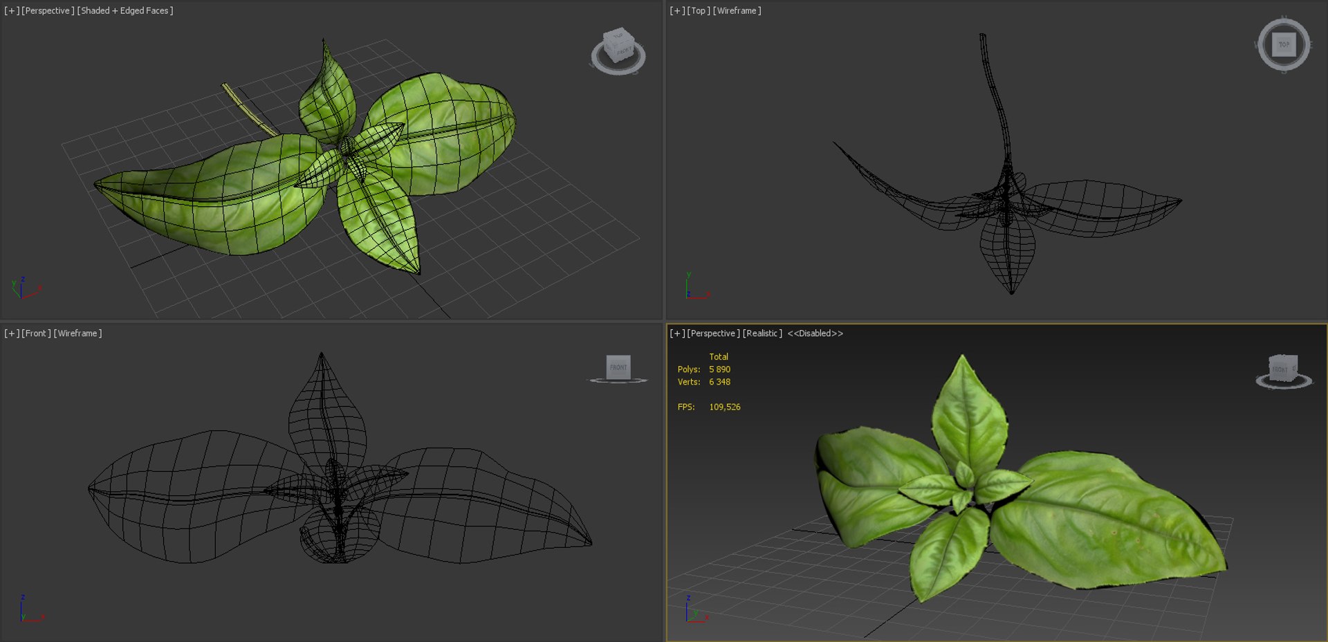 3d realistic vegetables https://p.turbosquid.com/ts-thumb/Rb/lzPYRM/TsqFopGY/basil_4/jpg/1417558194/1920x1080/fit_q87/b35248fccb8b1b50a0f2ea78d1f5f76e19670cd1/basil_4.jpg