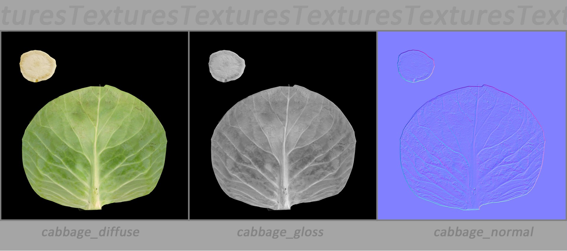 3d realistic vegetables https://p.turbosquid.com/ts-thumb/Rb/lzPYRM/V6Los779/cabbage_10/jpg/1417558194/1920x1080/fit_q87/9ba4dc2749e5fbd86abb0ccdb5a287e3d3496ae5/cabbage_10.jpg