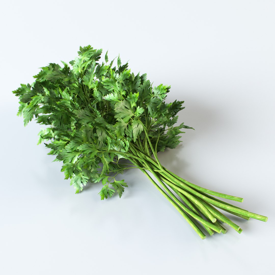 3d realistic vegetables https://p.turbosquid.com/ts-thumb/Rb/lzPYRM/eANg7N7A/parsley_2/jpg/1417558195/1920x1080/fit_q87/6dcfe0dfe9484b757d39c8a533b359c3aa2808b1/parsley_2.jpg