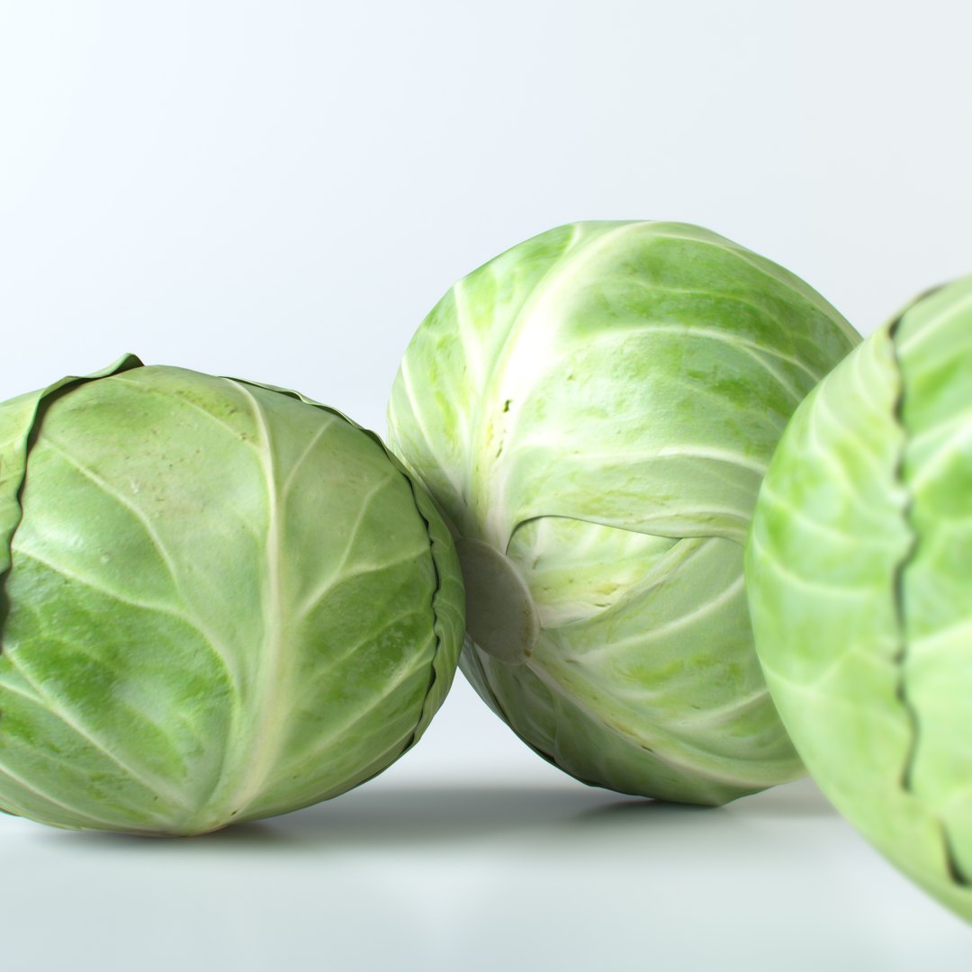3d realistic vegetables https://p.turbosquid.com/ts-thumb/Rb/lzPYRM/ewJvQ69l/cabbage_4/jpg/1417558194/1920x1080/fit_q87/0deee87b468b87114f1d14fcaa717f040f913629/cabbage_4.jpg
