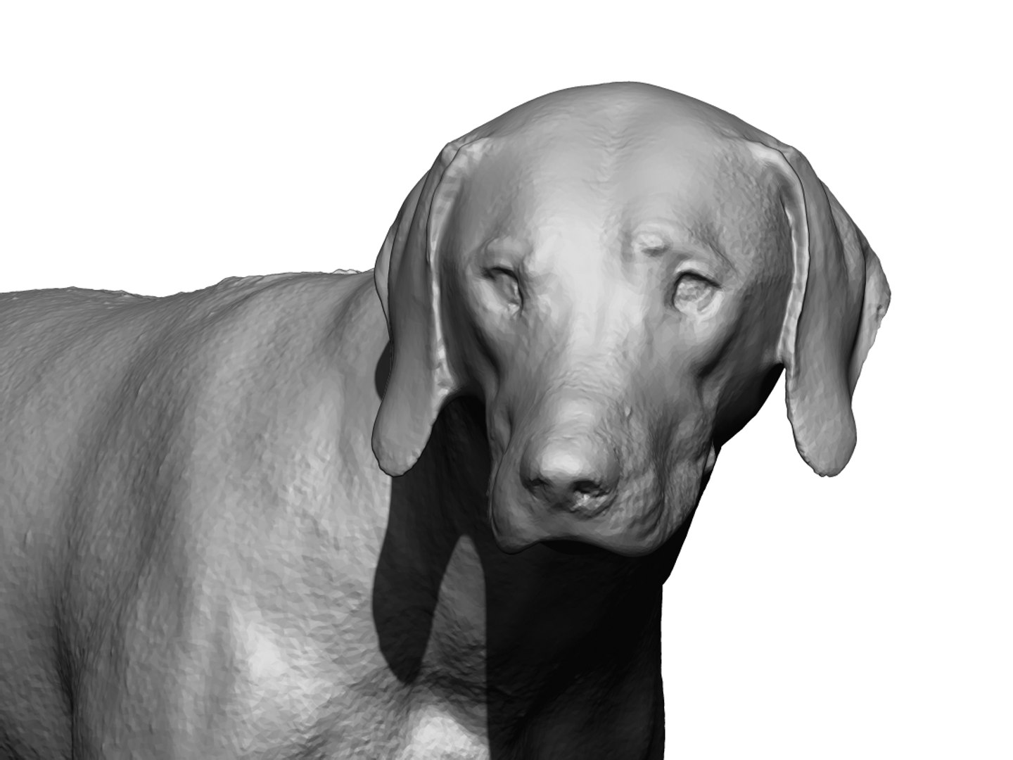 3D photogrammetry dog model - TurboSquid 1348837