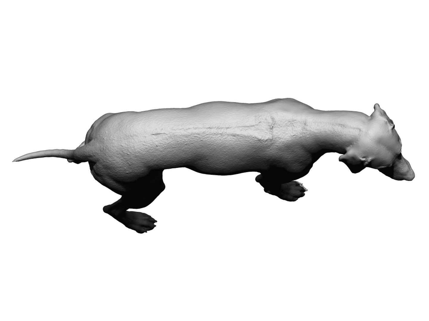 3D photogrammetry dog model - TurboSquid 1348837