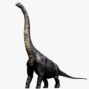 Brachiosaurus Sauropod 3D model