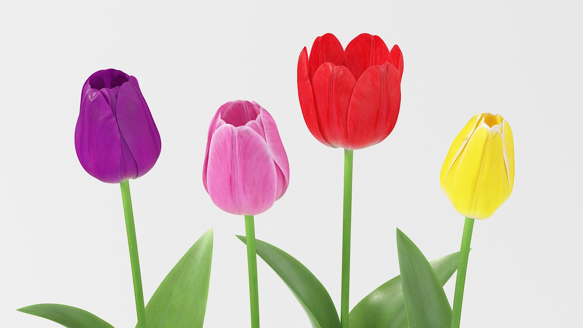 Flowers Bundle 3D https://p.turbosquid.com/ts-thumb/Rc/1MSXt8/i7/flower_tulip_08/jpg/1780384496/1920x1080/fit_q87/2165173143054da341fd4f3f53ad86925b141f4a/flower_tulip_08.jpg