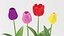 Flowers Bundle