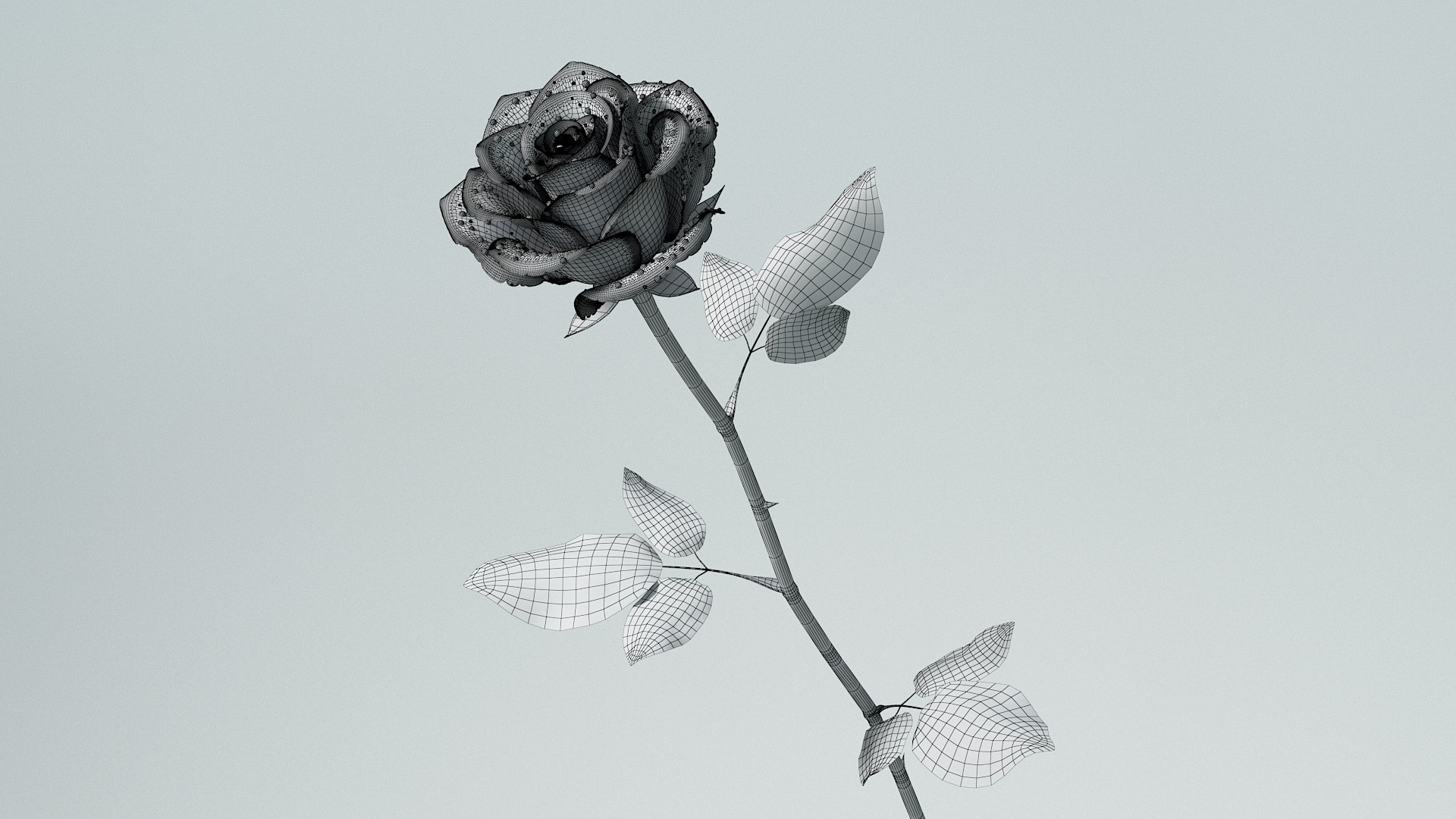 Flowers Bundle 3D https://p.turbosquid.com/ts-thumb/Rc/1MSXt8/kR/flower_rose_18/jpg/1780384492/1920x1080/fit_q87/86c920ae507cccd316cdebc328537d723fe1809f/flower_rose_18.jpg