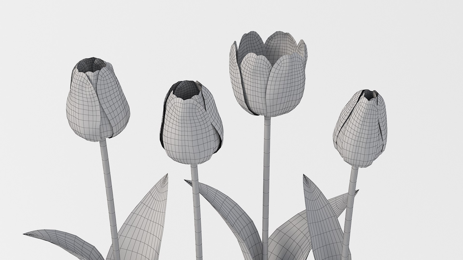 Flowers Bundle 3D https://p.turbosquid.com/ts-thumb/Rc/1MSXt8/pn/flower_tulip_12/jpg/1780384497/1920x1080/fit_q87/2f3efd2c6dffa73920873d4cbceff2d598cd6120/flower_tulip_12.jpg