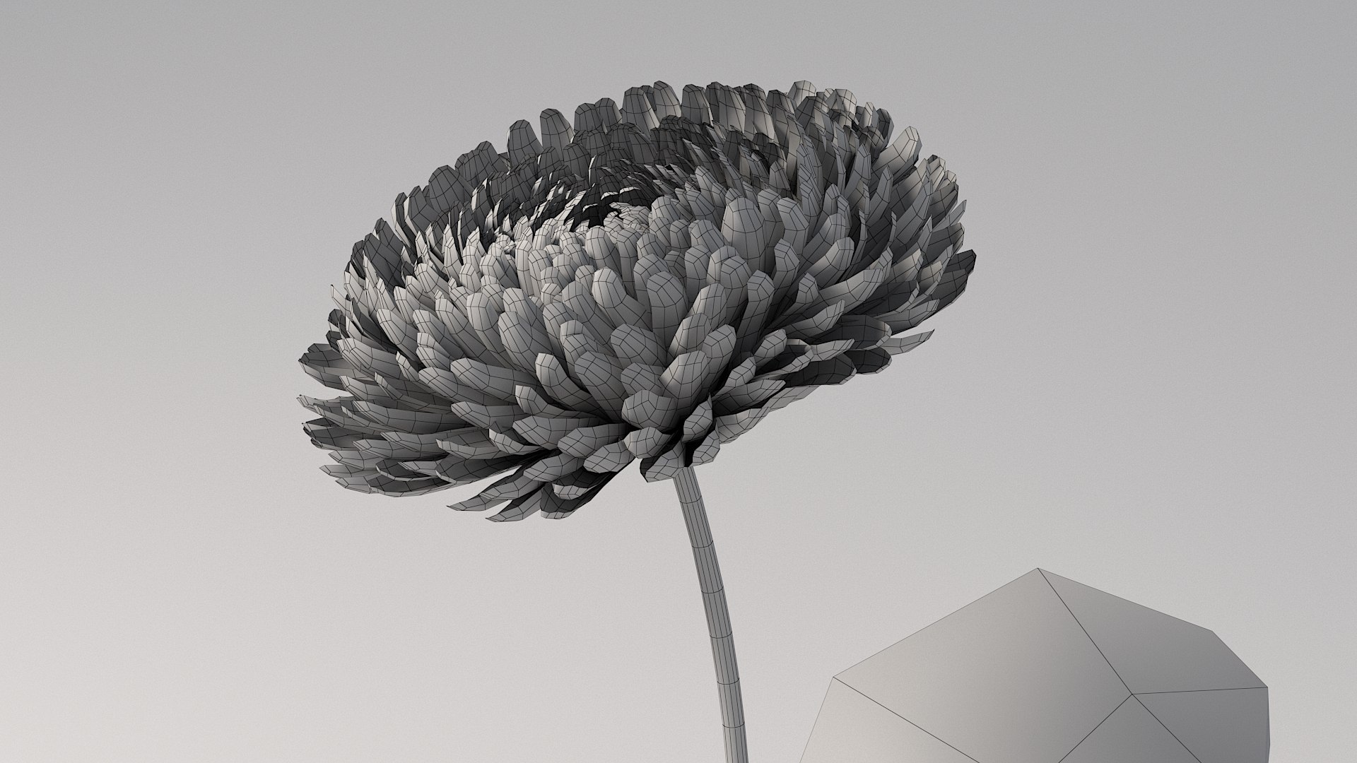 Flowers Bundle 3D https://p.turbosquid.com/ts-thumb/Rc/1MSXt8/yJ/flower_chrysanthemum_12/jpg/1780384478/1920x1080/fit_q87/fd8955923f121b5f9d3b86b7bd86fe6b220dd52d/flower_chrysanthemum_12.jpg