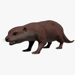 Otter 3D model
