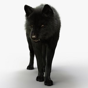 Black Wolf Rig XGEN-IGS