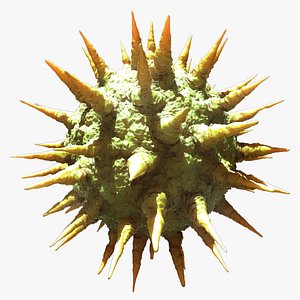 Hepatitis C Virus